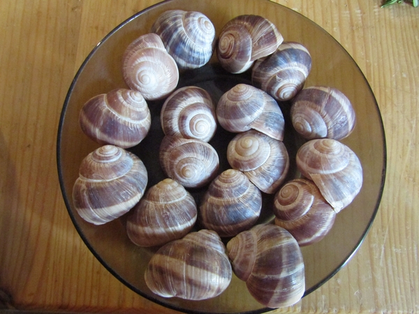 escargots